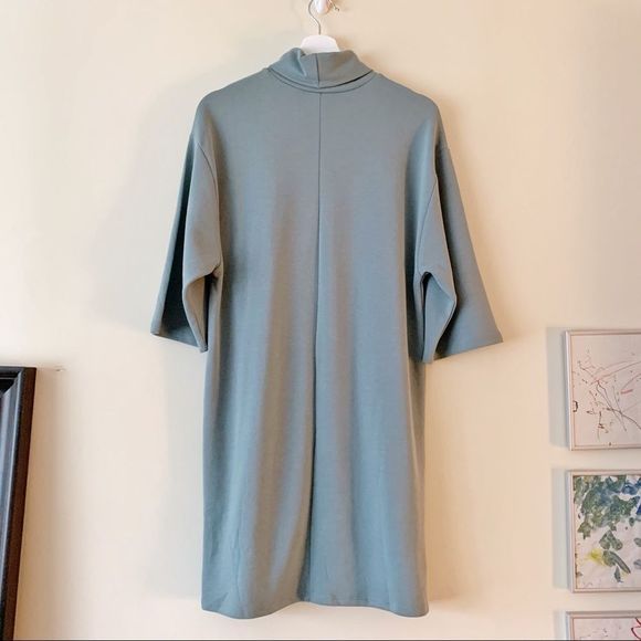 Zara Turtleneck Shift Dress with 3/4 Sleeves - Picture 6 of 8